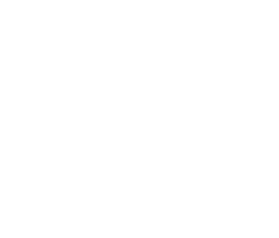 GfsGroup footer logo